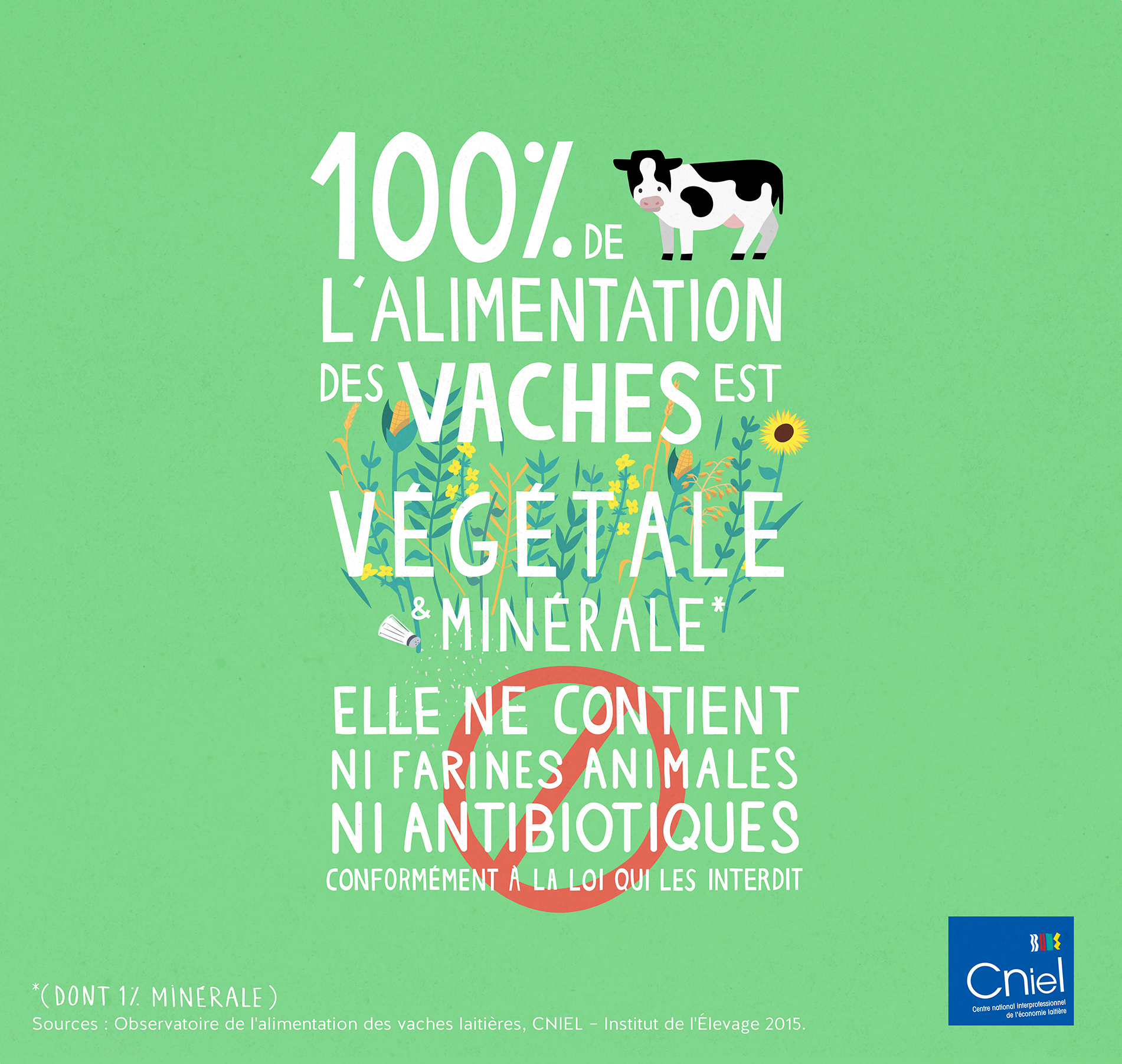 100% de l'alimentation des vaches est végétale et minérale